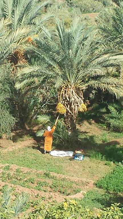 Cinema Riad Hotell Ouarzazate Eksteriør bilde