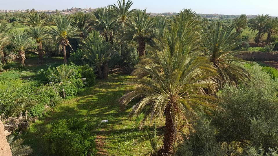 Cinema Riad Hotell Ouarzazate Eksteriør bilde