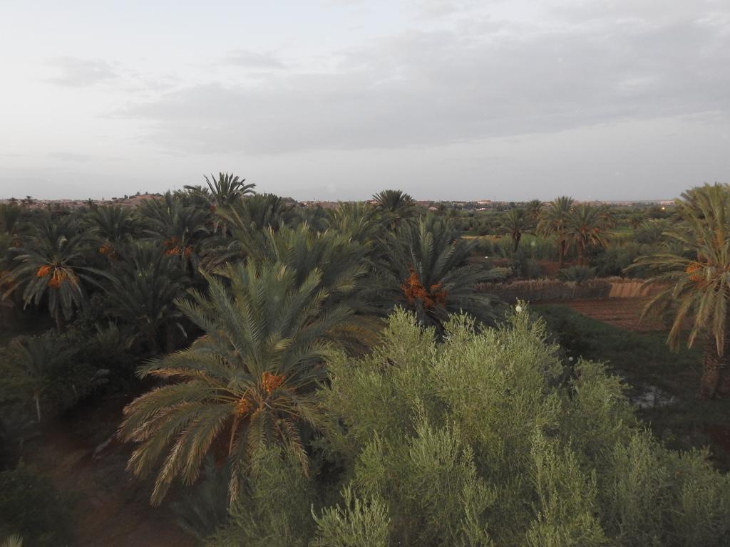 Cinema Riad Tajda Eksteriør bilde